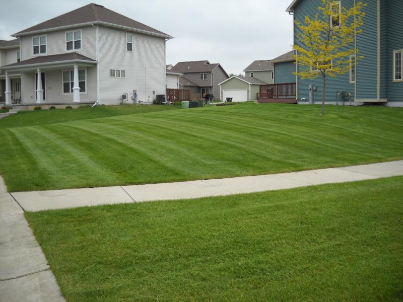 Lawn Mowing, Property maintance, Lawn care, grass cutting, grass, turf care