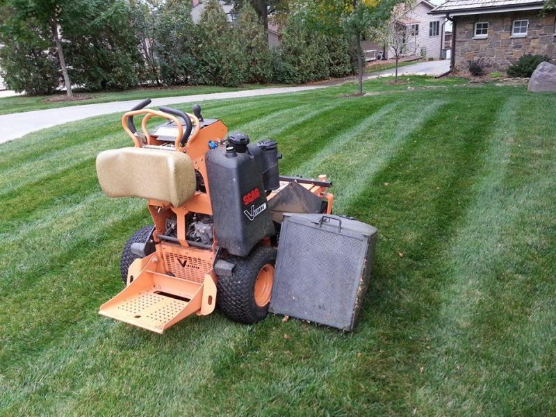 Lawn mowing fall clean up spring clean up grass stripes P.F.D.LLC