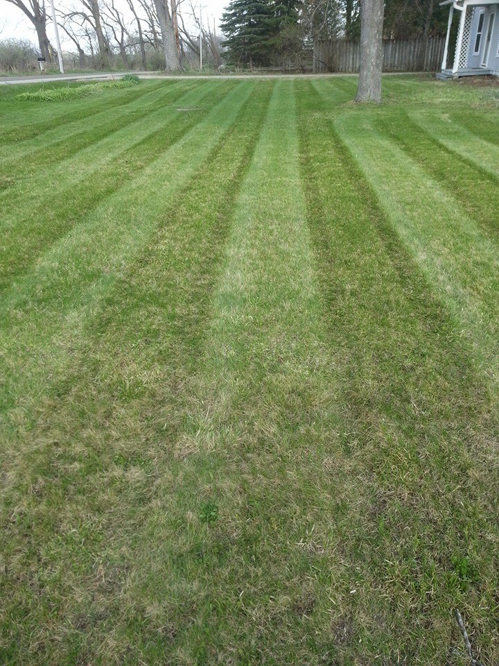 Spring clean up Lawn Mowing P.F.D. LLC LANDSCAPE MAINTENANCE