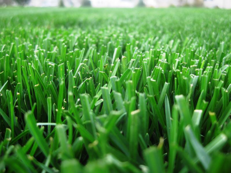 Lawn mowing, landscaping, lawn, turf care