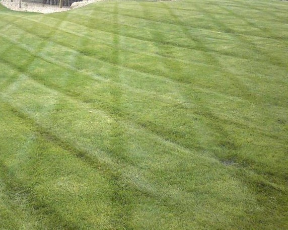 Lawn mowing, landscaping, landscape maintance, grass, turf, 